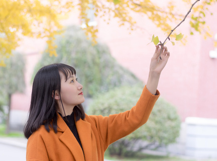 免费看永久不收费下载软件亮点