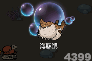 红柚直播