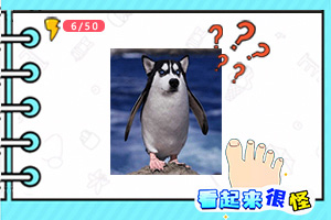 XVIDEOS国产在线视频评测