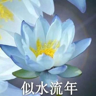 鉴黄师下载免费