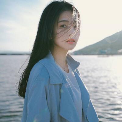 海洋家园生存岛中文破解版
