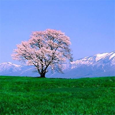 性直播无遮挡直播间相关推荐1