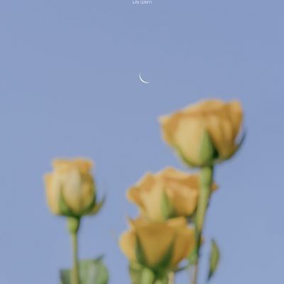 苏梦刚