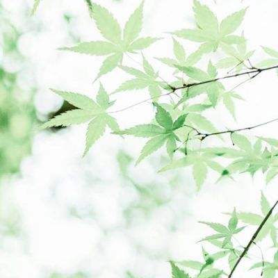 大尺度直播视频截图