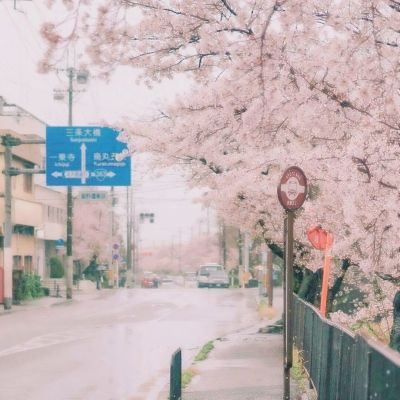 拉力竞速3