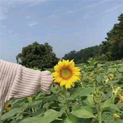 斗斗堂