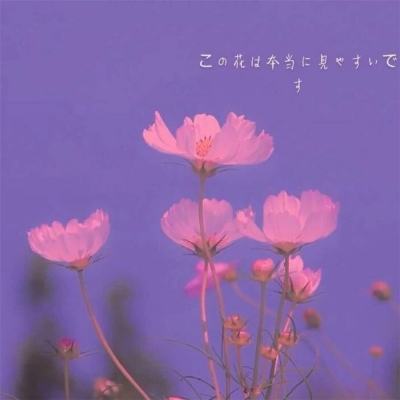 空战世界