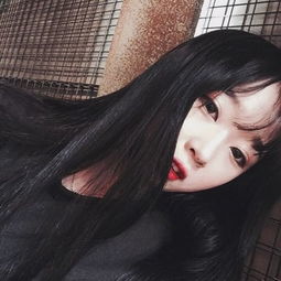 穹顶之上