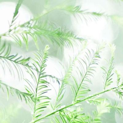 91视频视频网页版相关推荐1