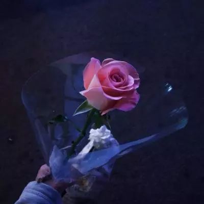 十大看污软件免费官方版