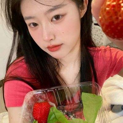 饥荒手机汉化破解版