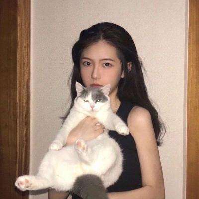 糖心vlog最新下载网址评测